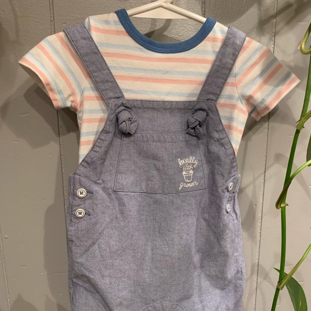 Cat & Jack 6-9 month Locally Grown 2 piece  summer overall outfit set